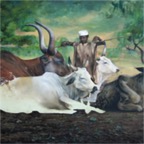 Fulani-Boy.jpg
