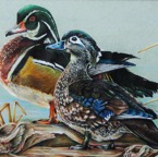Ducks.jpg